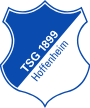tsghoffenheimlogo